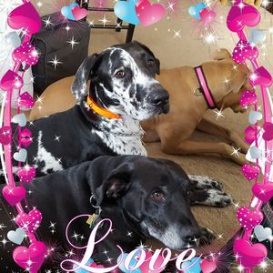 Meet your Posher, Jan